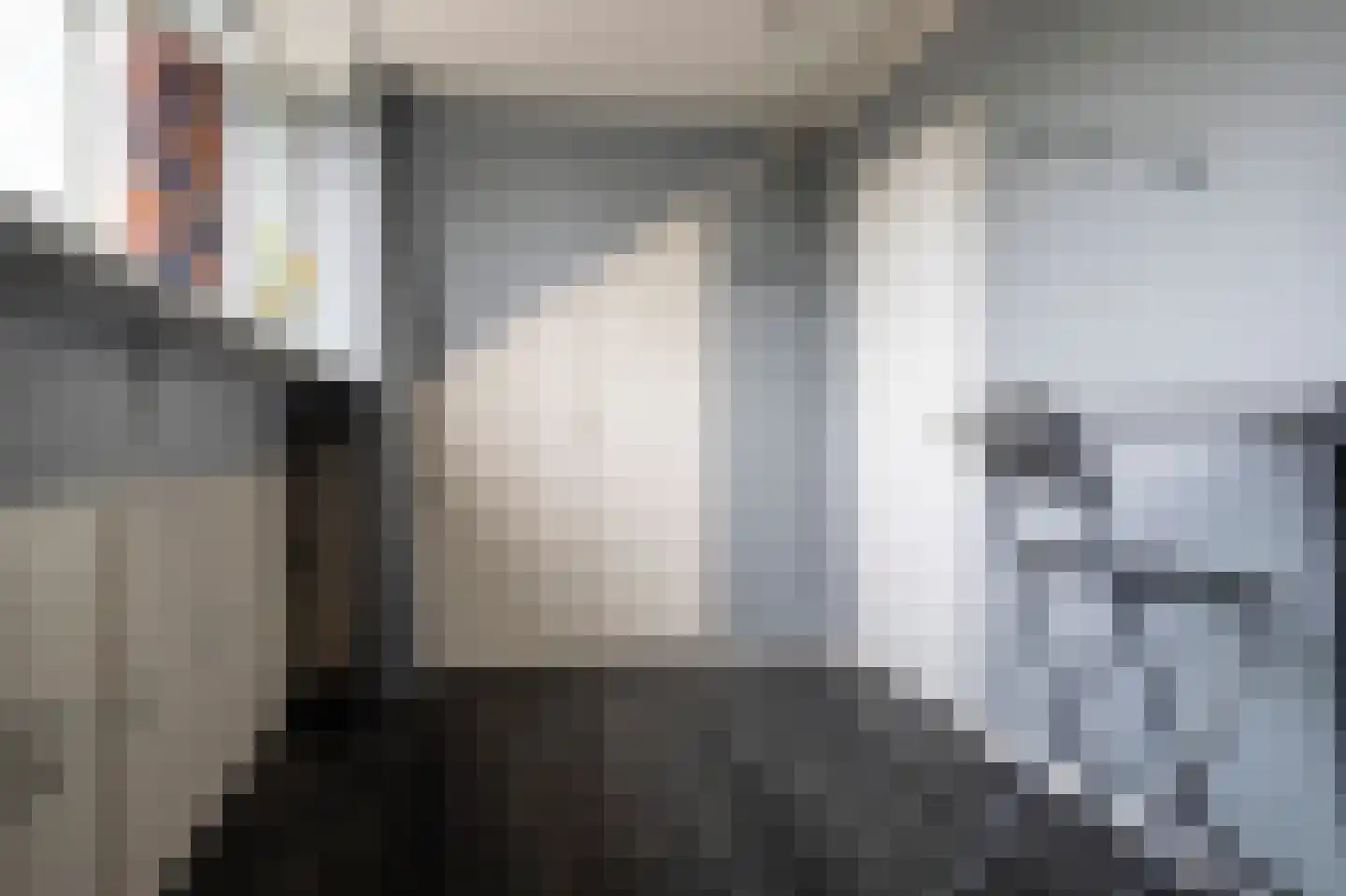 Prins Constantijnstraat 6 Genemuiden thumbnail 37