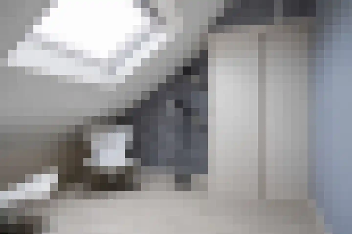 Prins Constantijnstraat 6 Genemuiden thumbnail 38