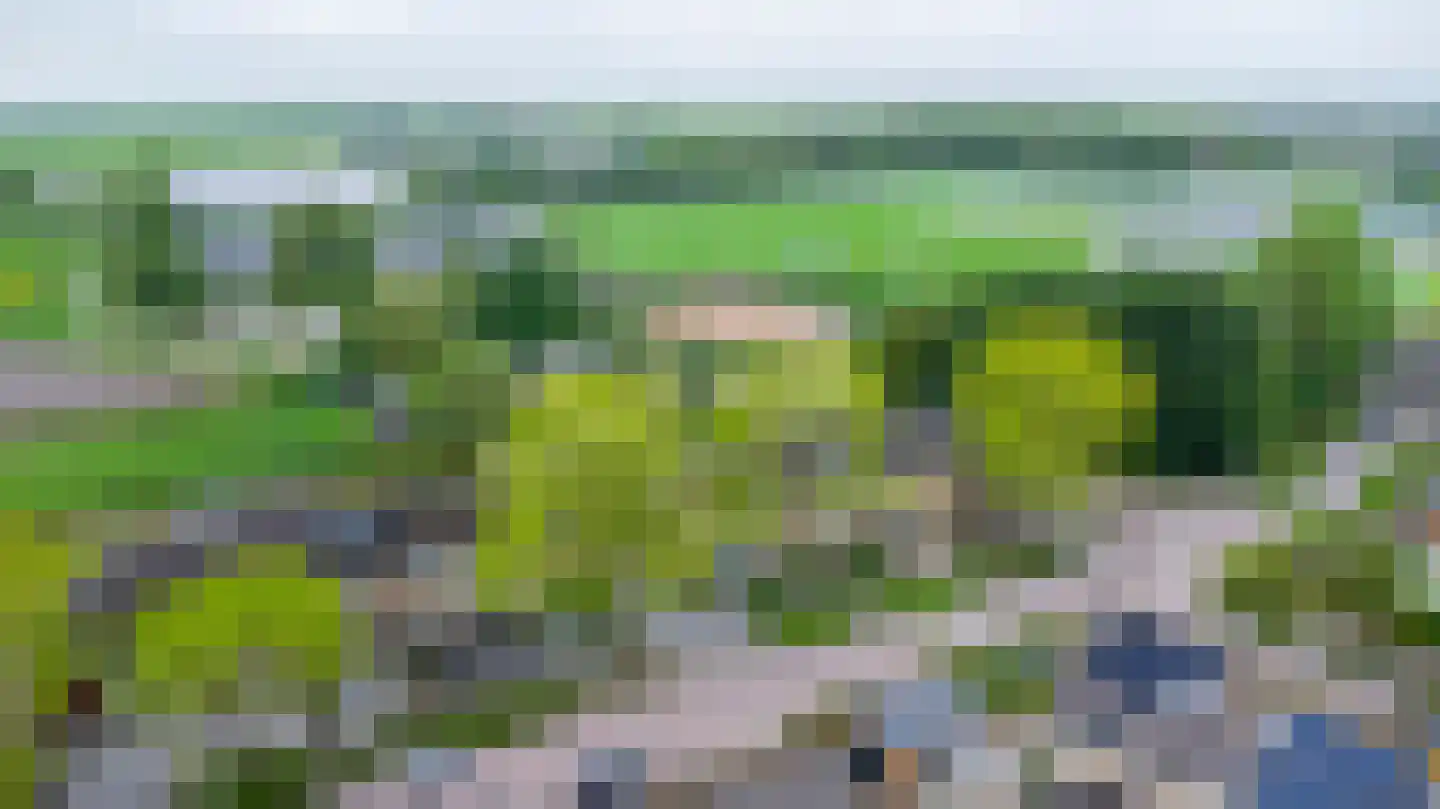 Prins Constantijnstraat 6 Genemuiden thumbnail 8
