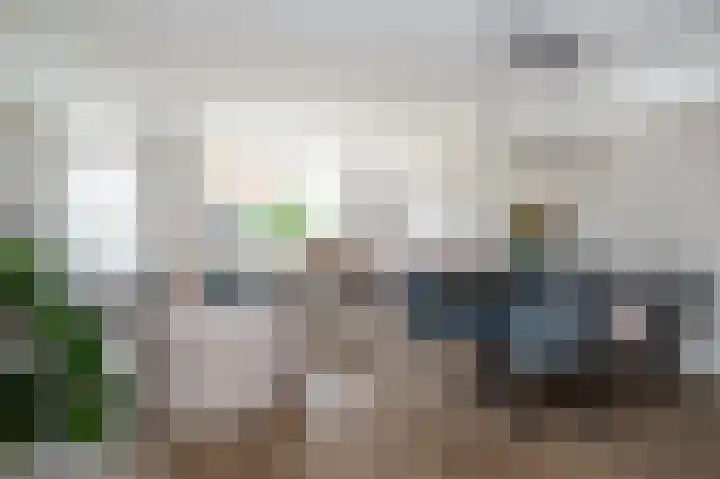 Prins Constantijnstraat 6 Middelharnis thumbnail 10