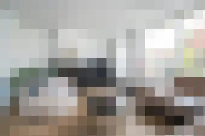 Prins Constantijnstraat 6 Middelharnis thumbnail 12