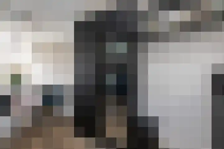 Prins Constantijnstraat 6 Middelharnis thumbnail 16