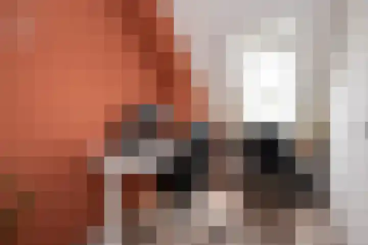 Prins Constantijnstraat 6 Middelharnis thumbnail 19