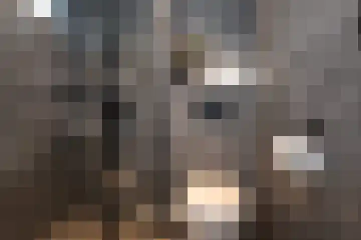 Prins Constantijnstraat 6 Middelharnis thumbnail 22