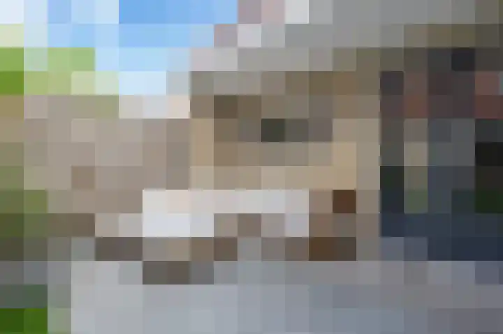 Prins Constantijnstraat 6 Middelharnis thumbnail 28