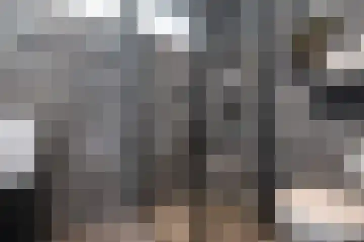 Prins Constantijnstraat 6 Middelharnis thumbnail 4