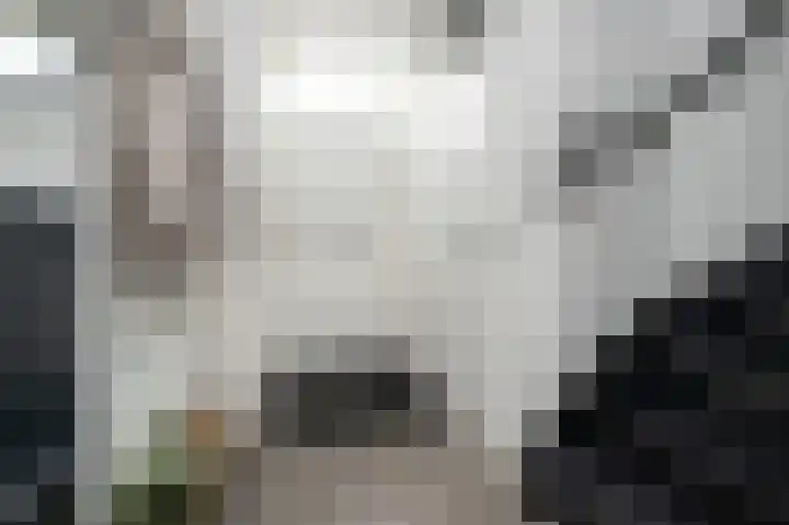 Prins Constantijnstraat 6 Middelharnis thumbnail 6
