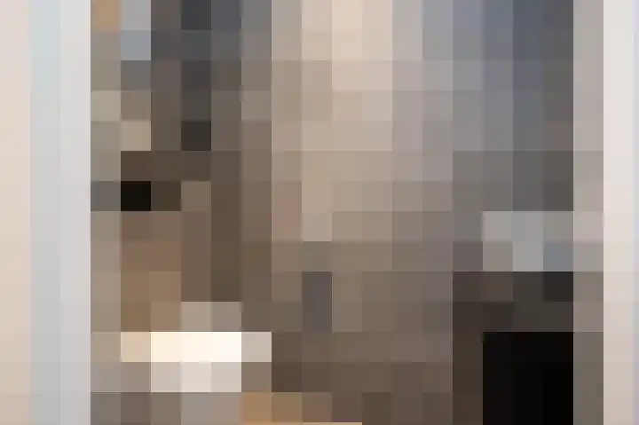 Prins Constantijnstraat 6 Middelharnis thumbnail 7