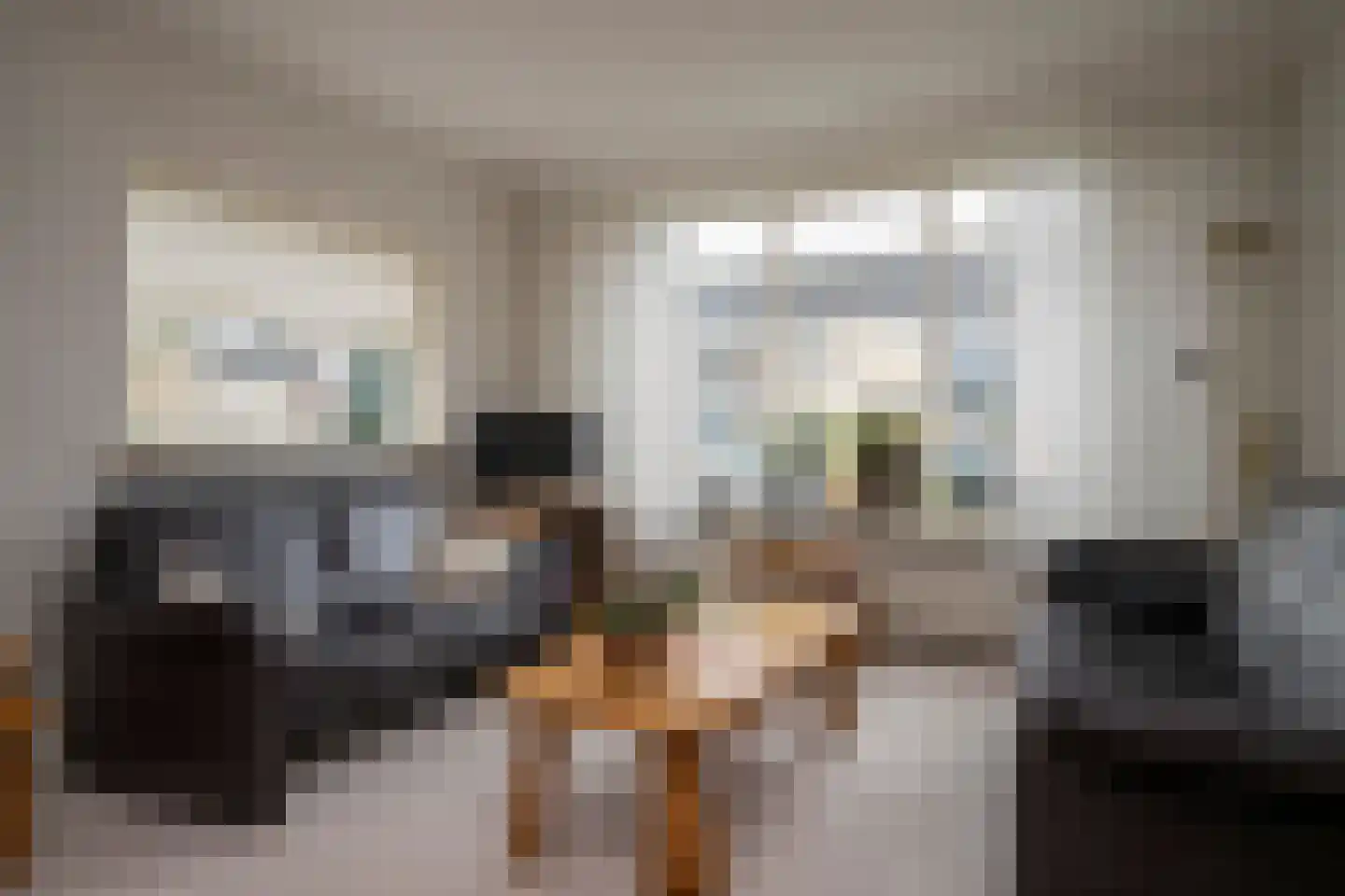 Prins Constantijnstraat 7 Genemuiden thumbnail 11