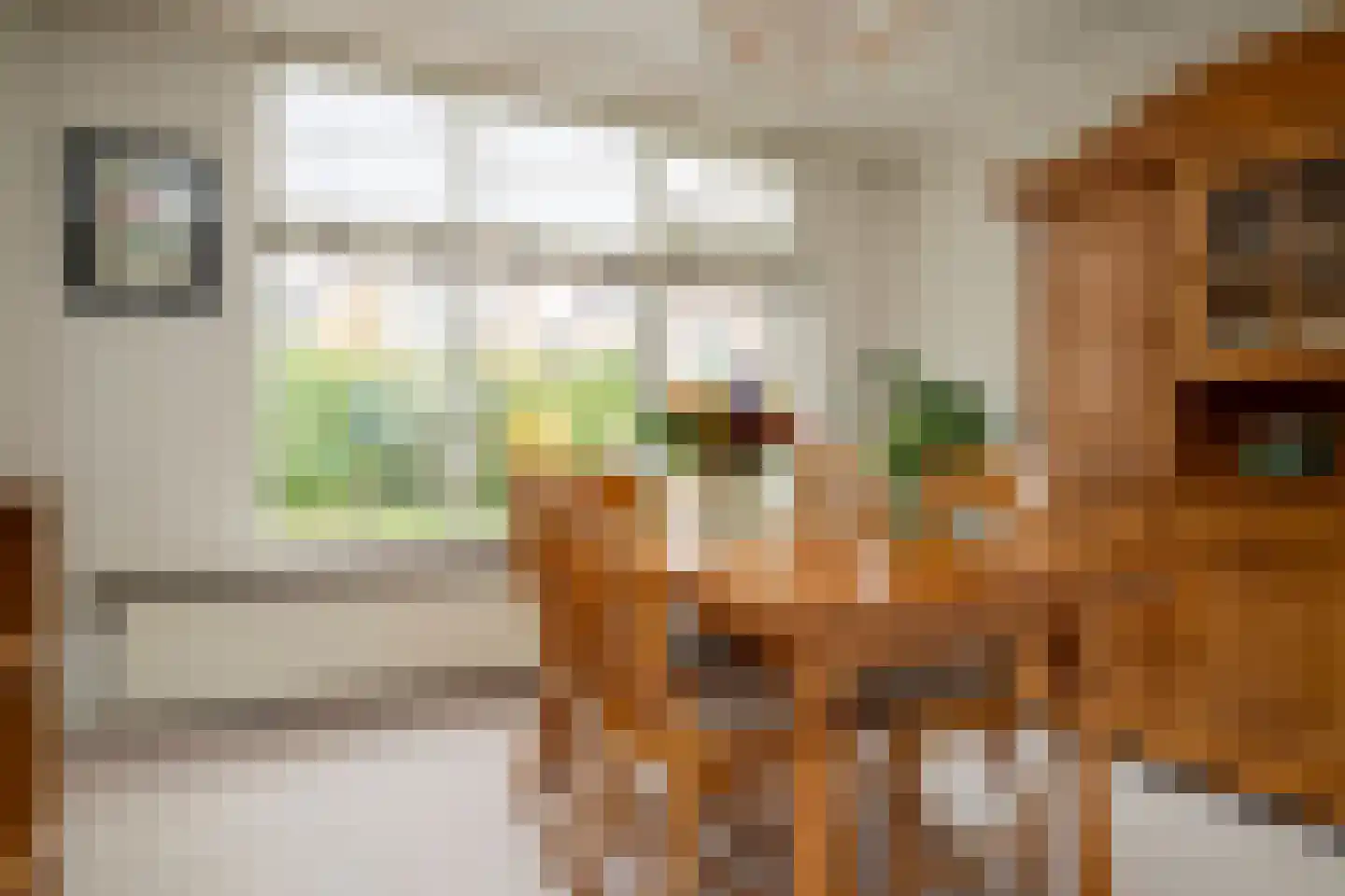 Prins Constantijnstraat 7 Genemuiden thumbnail 12