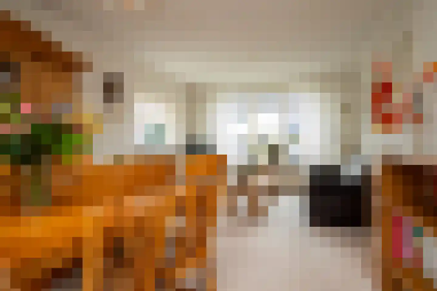 Prins Constantijnstraat 7 Genemuiden thumbnail 13
