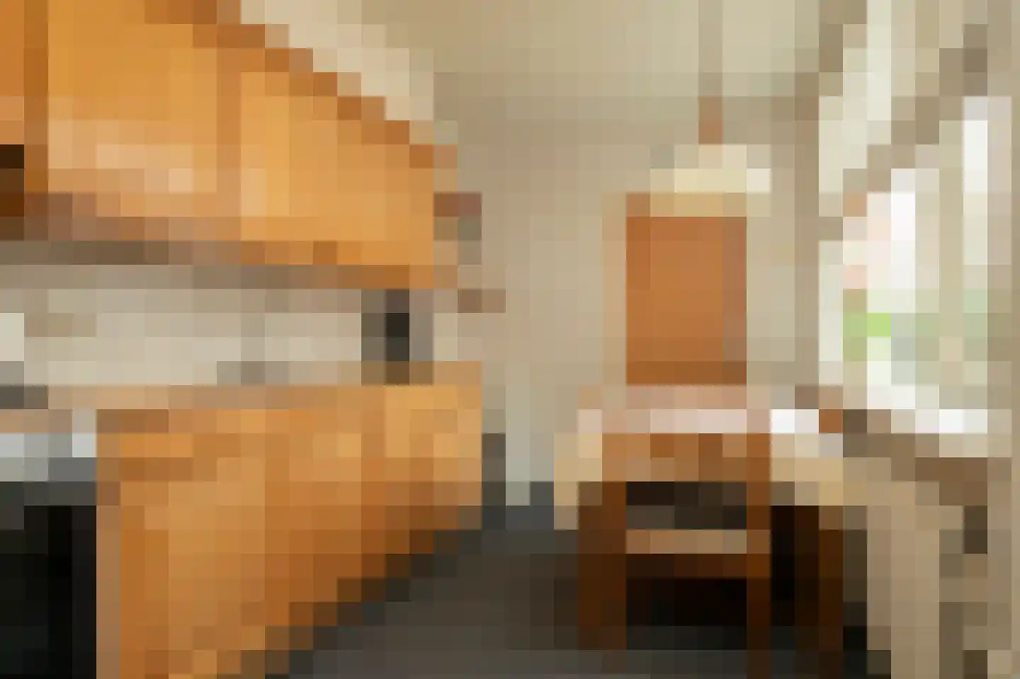 Prins Constantijnstraat 7 Genemuiden thumbnail 14
