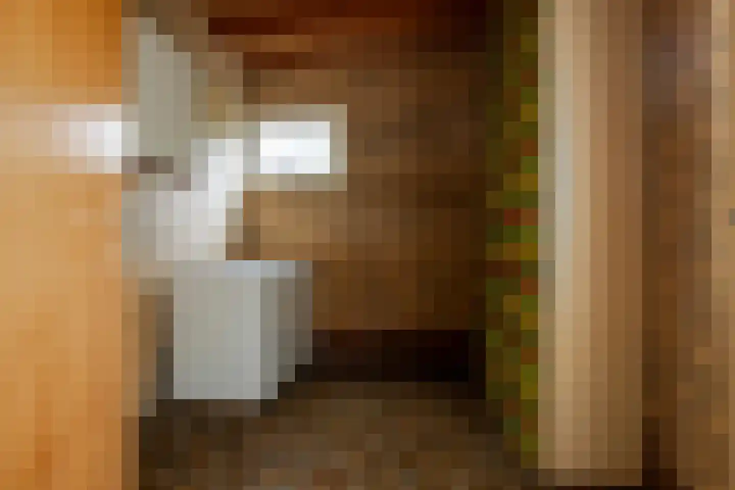 Prins Constantijnstraat 7 Genemuiden thumbnail 16