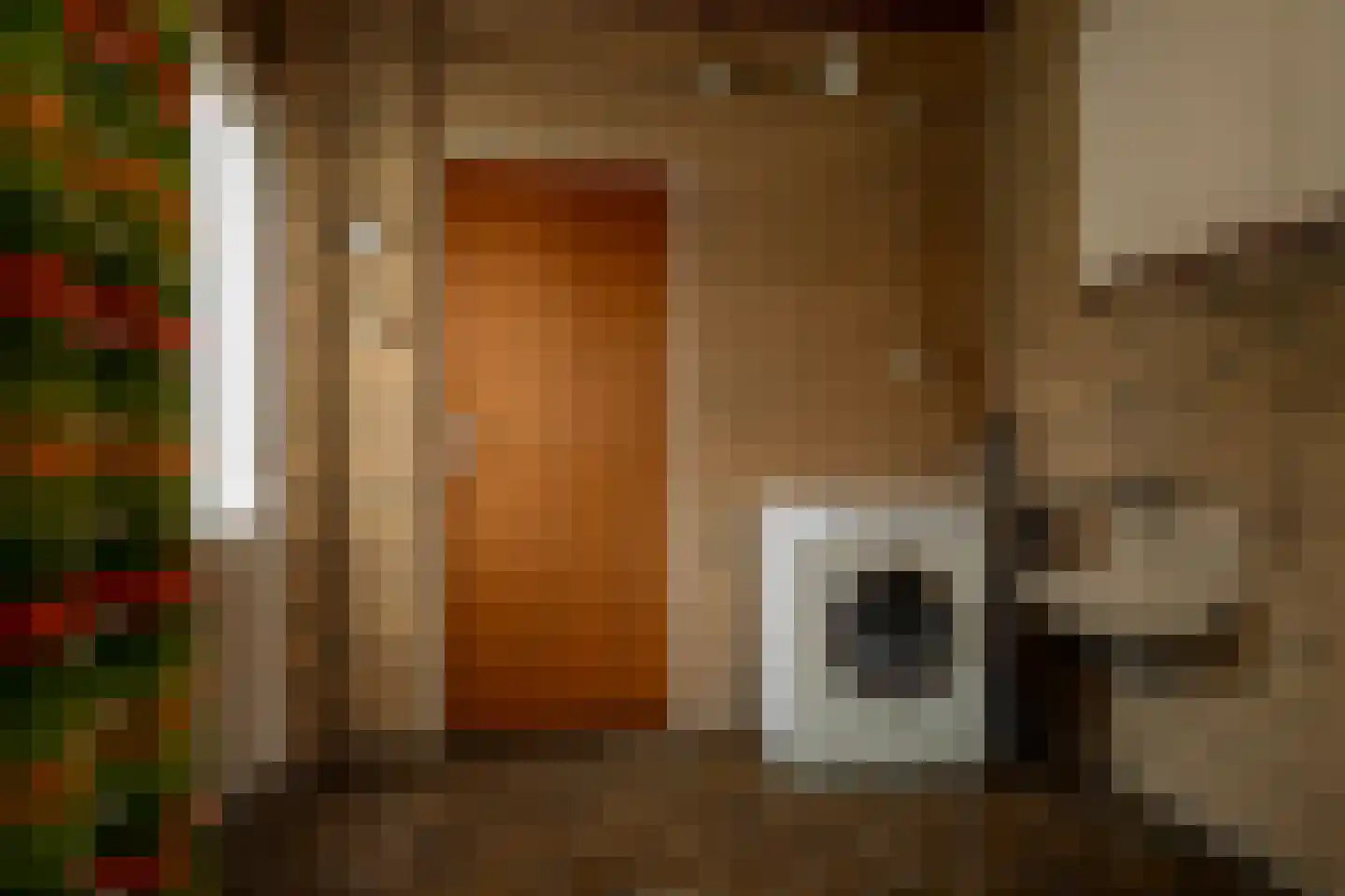 Prins Constantijnstraat 7 Genemuiden thumbnail 17