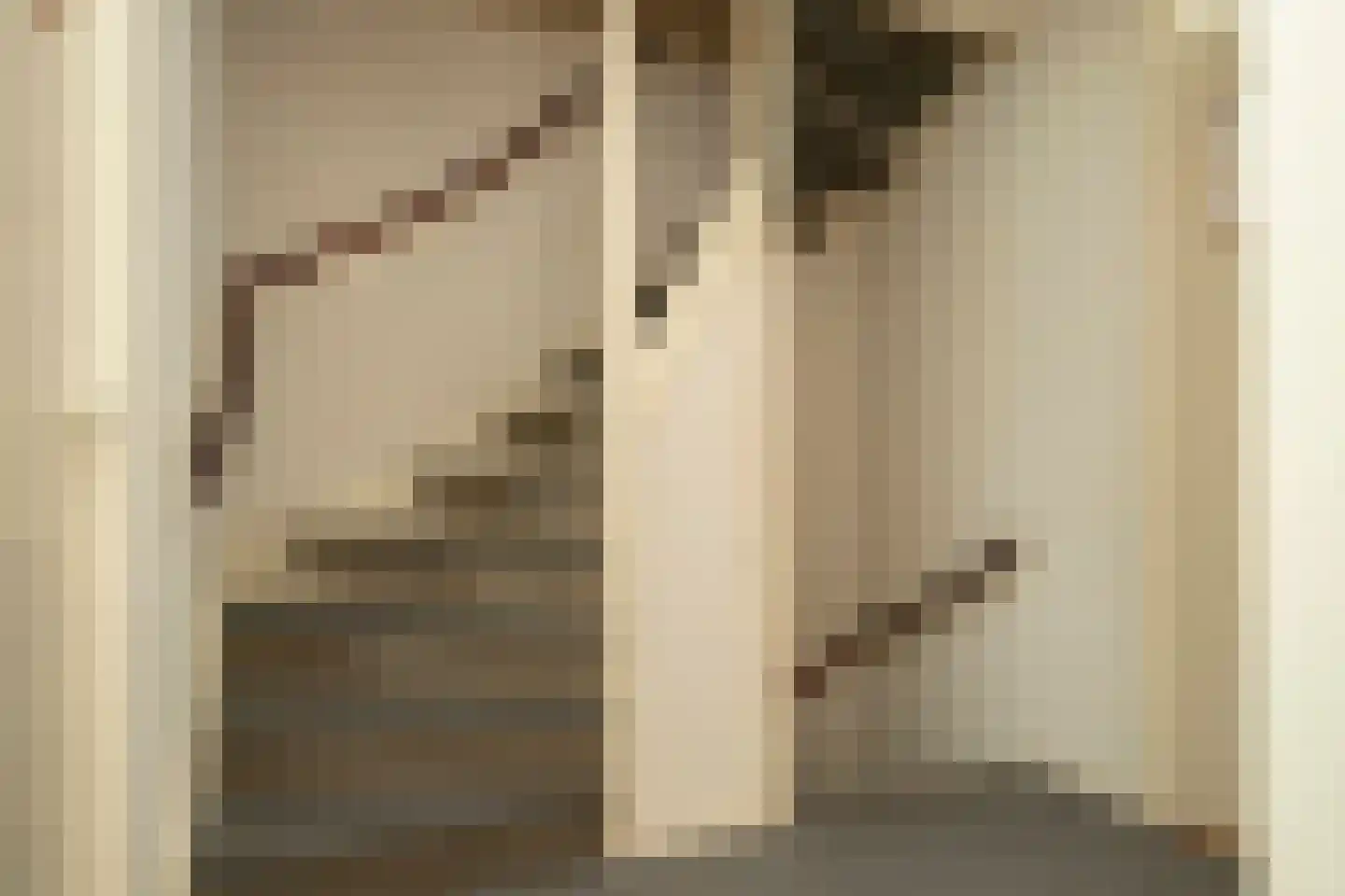 Prins Constantijnstraat 7 Genemuiden thumbnail 30