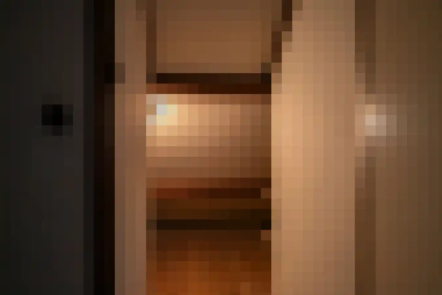 Prins Constantijnstraat 7 Genemuiden thumbnail 31