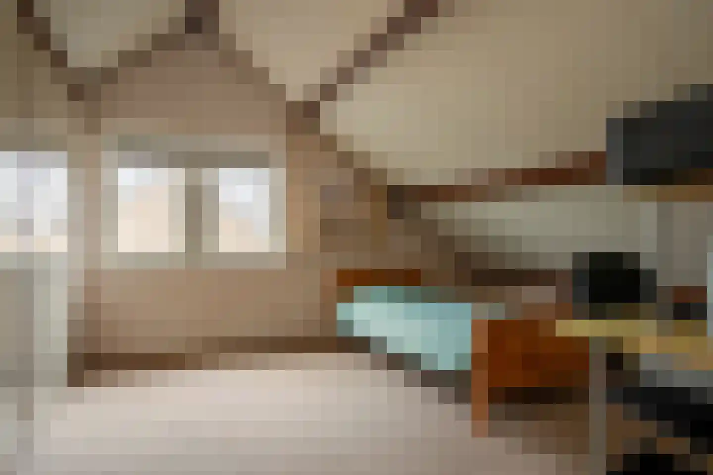Prins Constantijnstraat 7 Genemuiden thumbnail 32