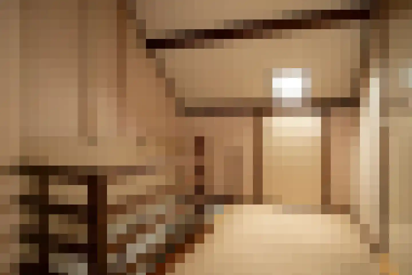 Prins Constantijnstraat 7 Genemuiden thumbnail 33