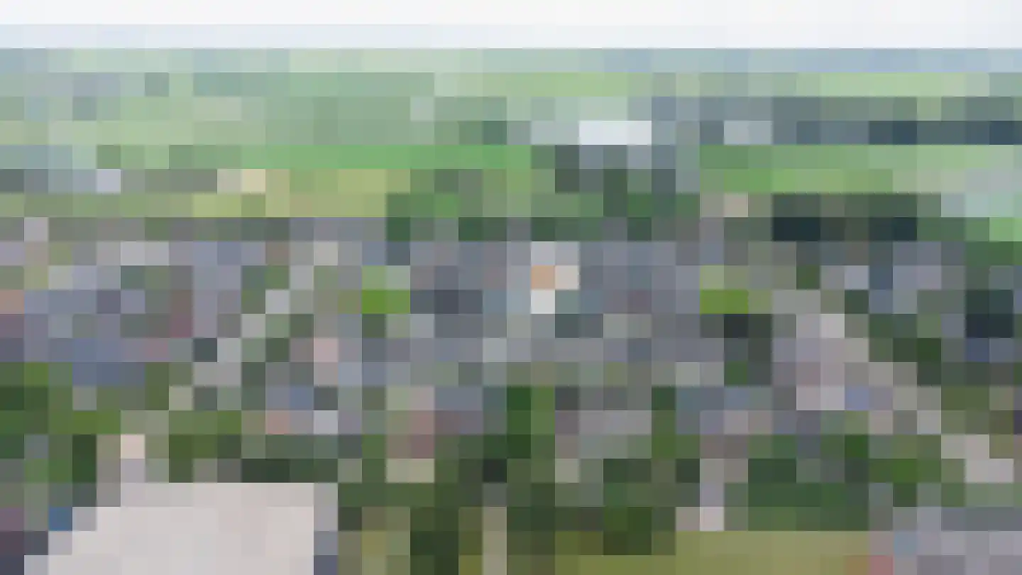 Prins Constantijnstraat 7 Genemuiden thumbnail 4