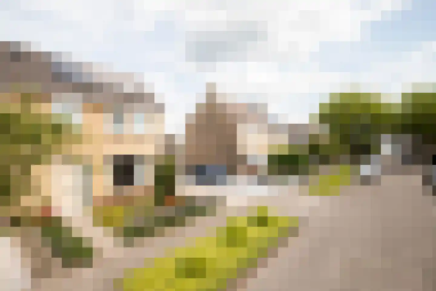 Prins Constantijnstraat 7 Genemuiden thumbnail 7