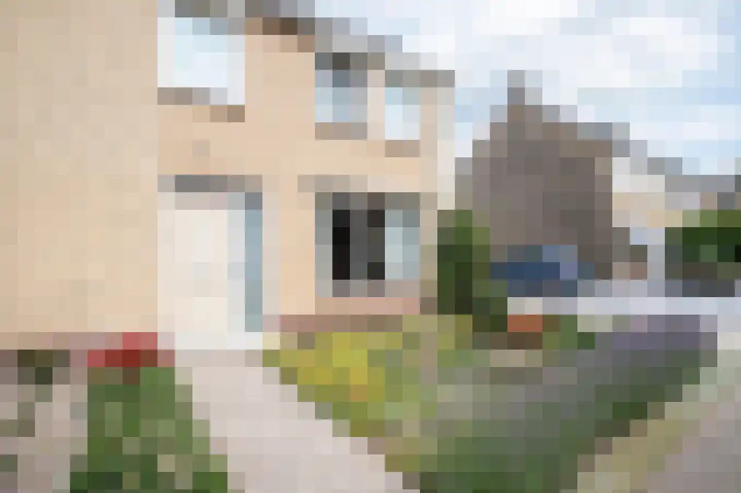 Prins Constantijnstraat 7 Genemuiden thumbnail 9