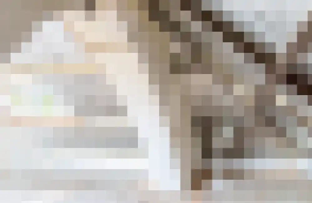 Prins de Lignestraat 1 Geleen thumbnail 58