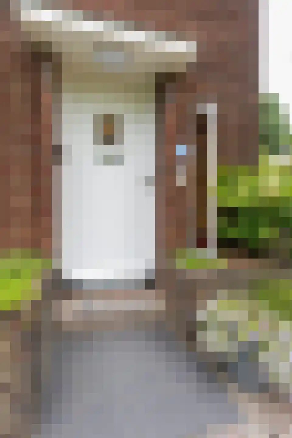 Prins de Lignestraat 22 Geleen thumbnail 11