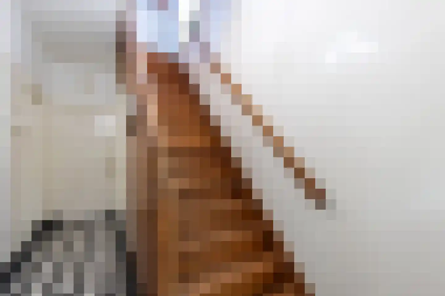 Prins de Lignestraat 22 Geleen thumbnail 13