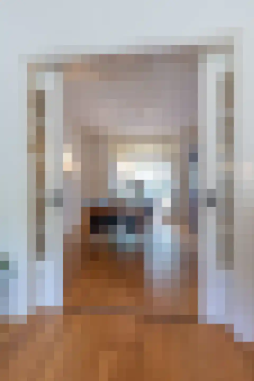 Prins de Lignestraat 22 Geleen thumbnail 23