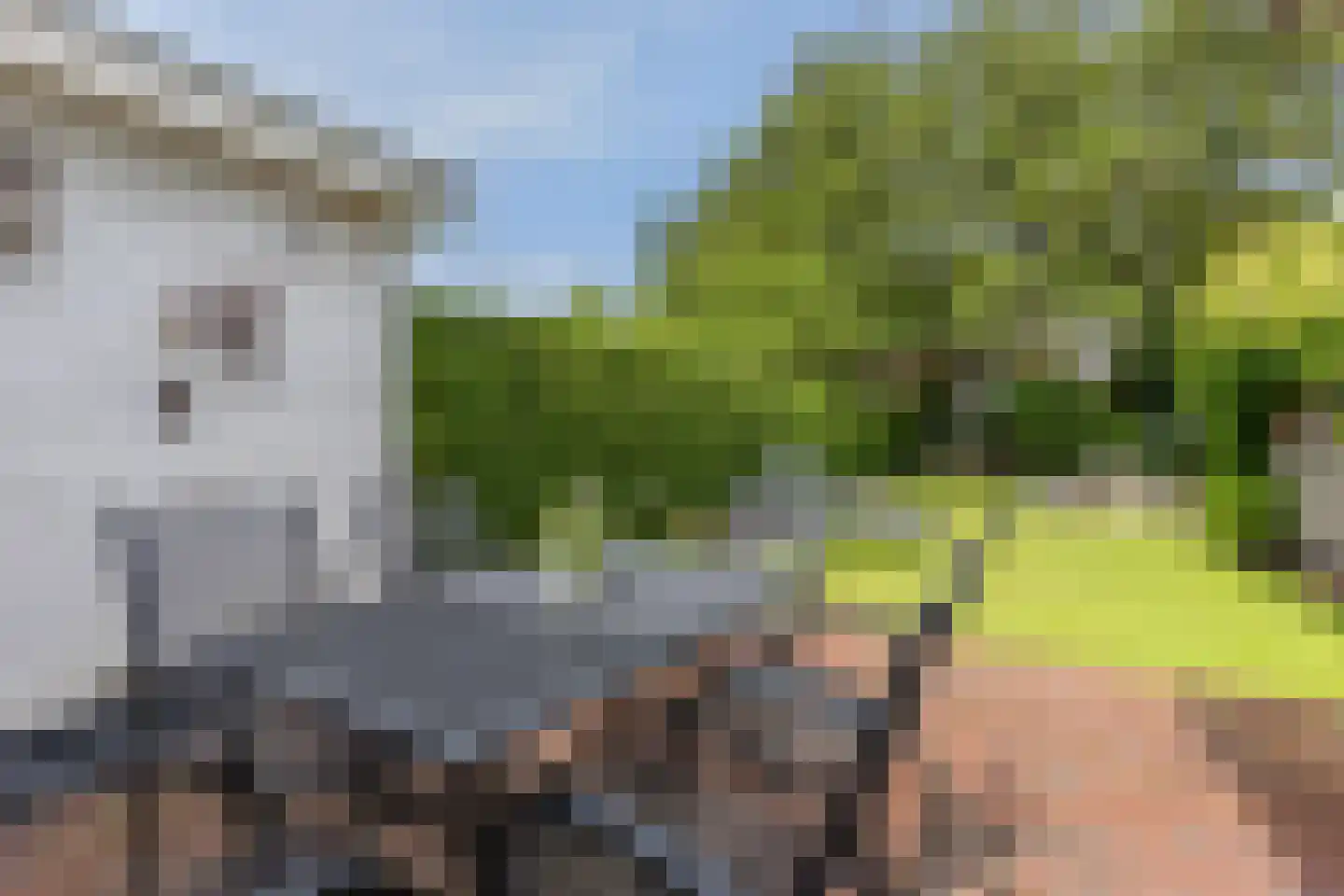 Prins de Lignestraat 22 Geleen thumbnail 37