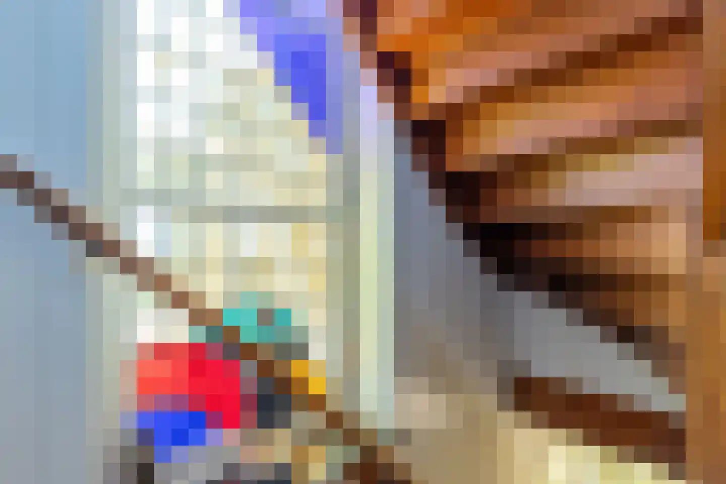 Prins de Lignestraat 22 Geleen thumbnail 44