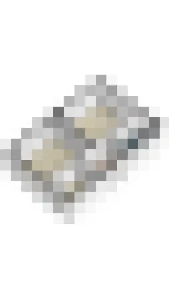 Prins de Lignestraat 22 Geleen thumbnail 64