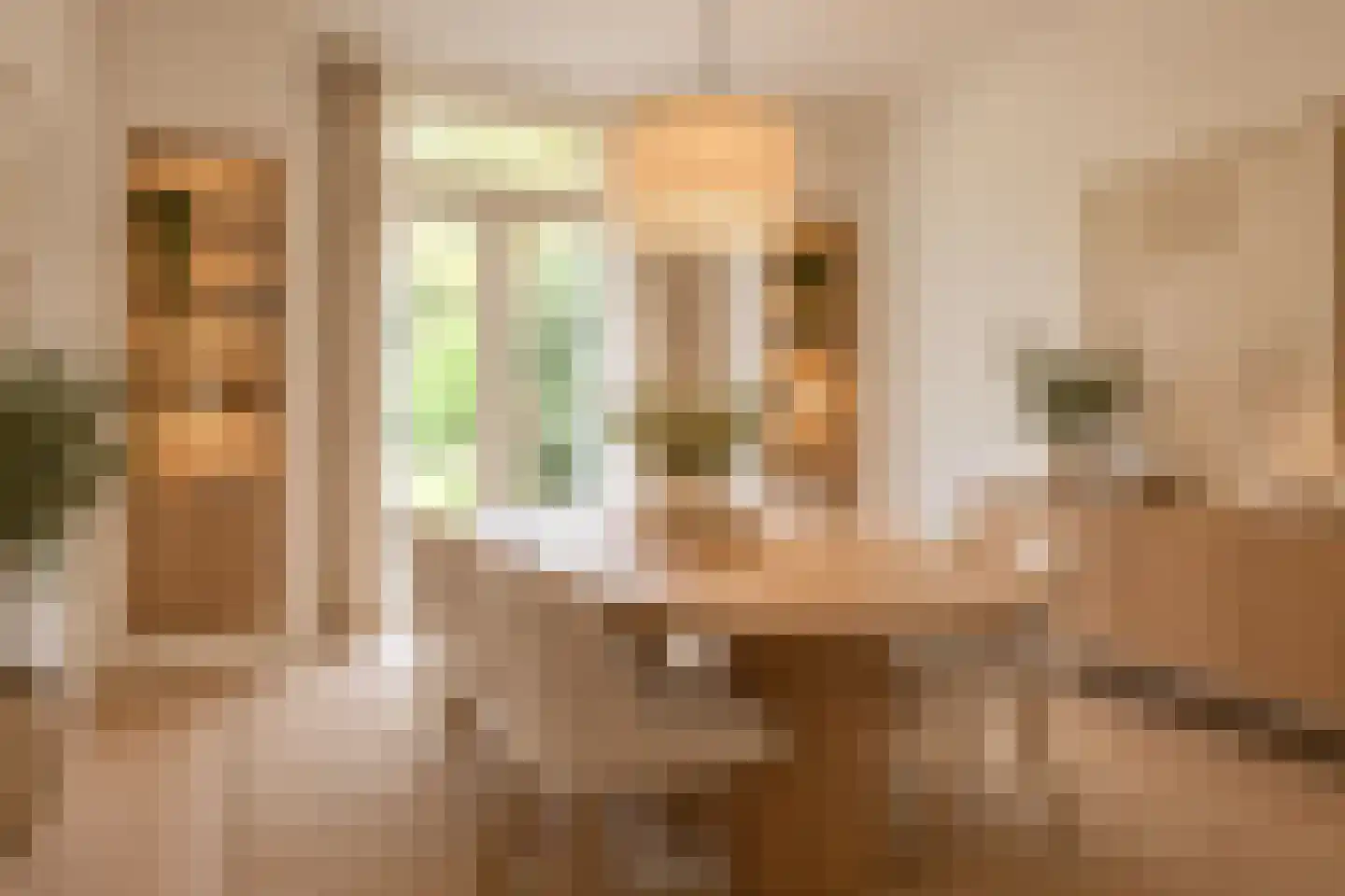 Prins de Lignestraat 26 Geleen thumbnail 16
