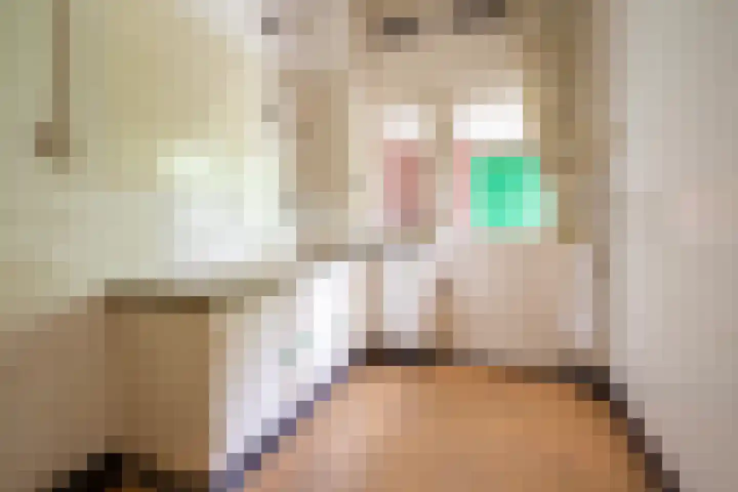 Prins de Lignestraat 26 Geleen thumbnail 17