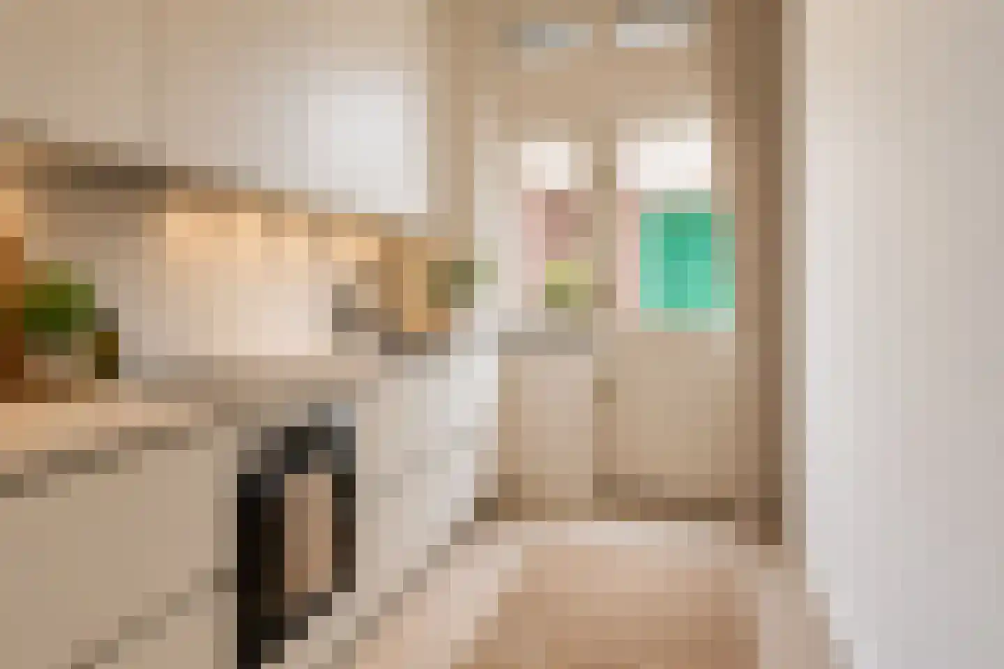 Prins de Lignestraat 26 Geleen thumbnail 18