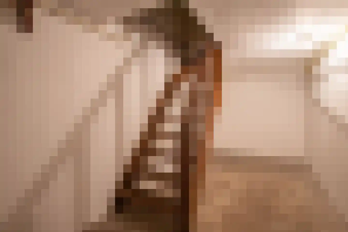 Prins de Lignestraat 26 Geleen thumbnail 29