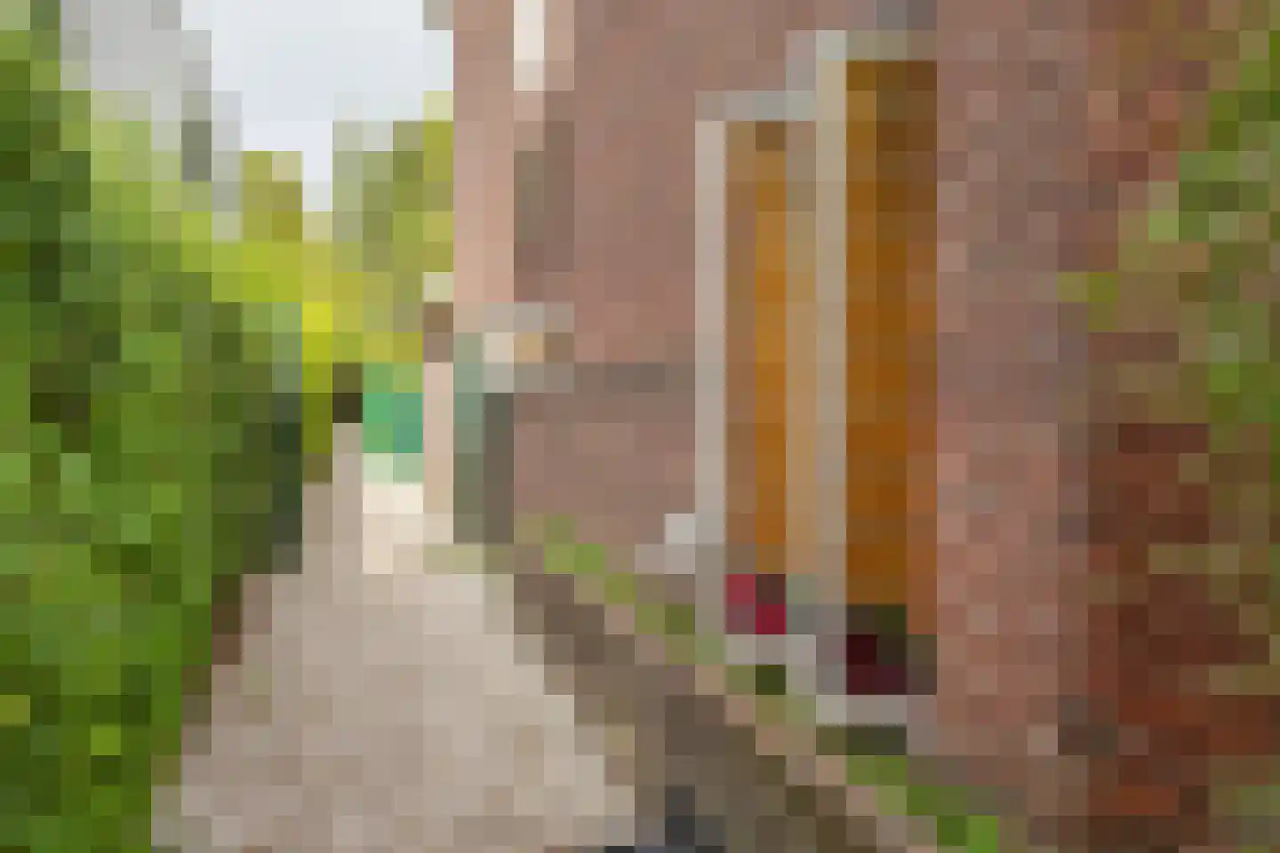 Prins de Lignestraat 26 Geleen thumbnail 33