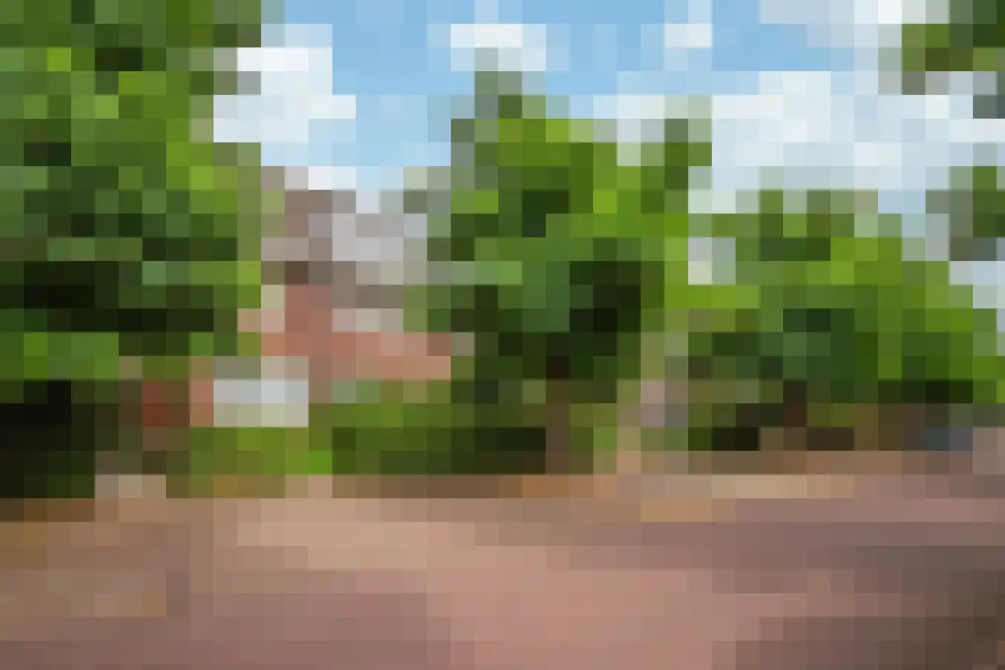 Prins de Lignestraat 26 Geleen thumbnail 35