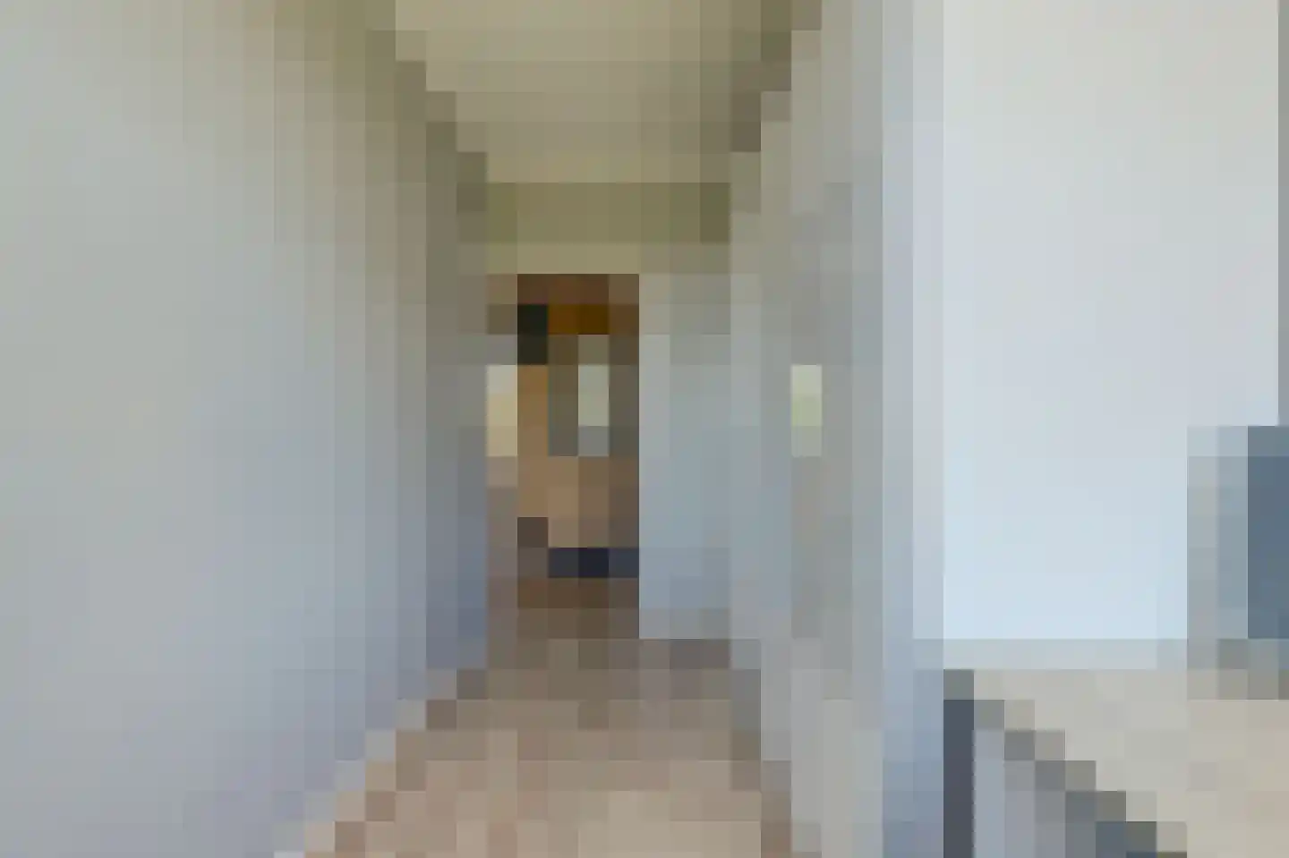 Prins der Nederlandenstraat 27 Hoek van Holland thumbnail 20