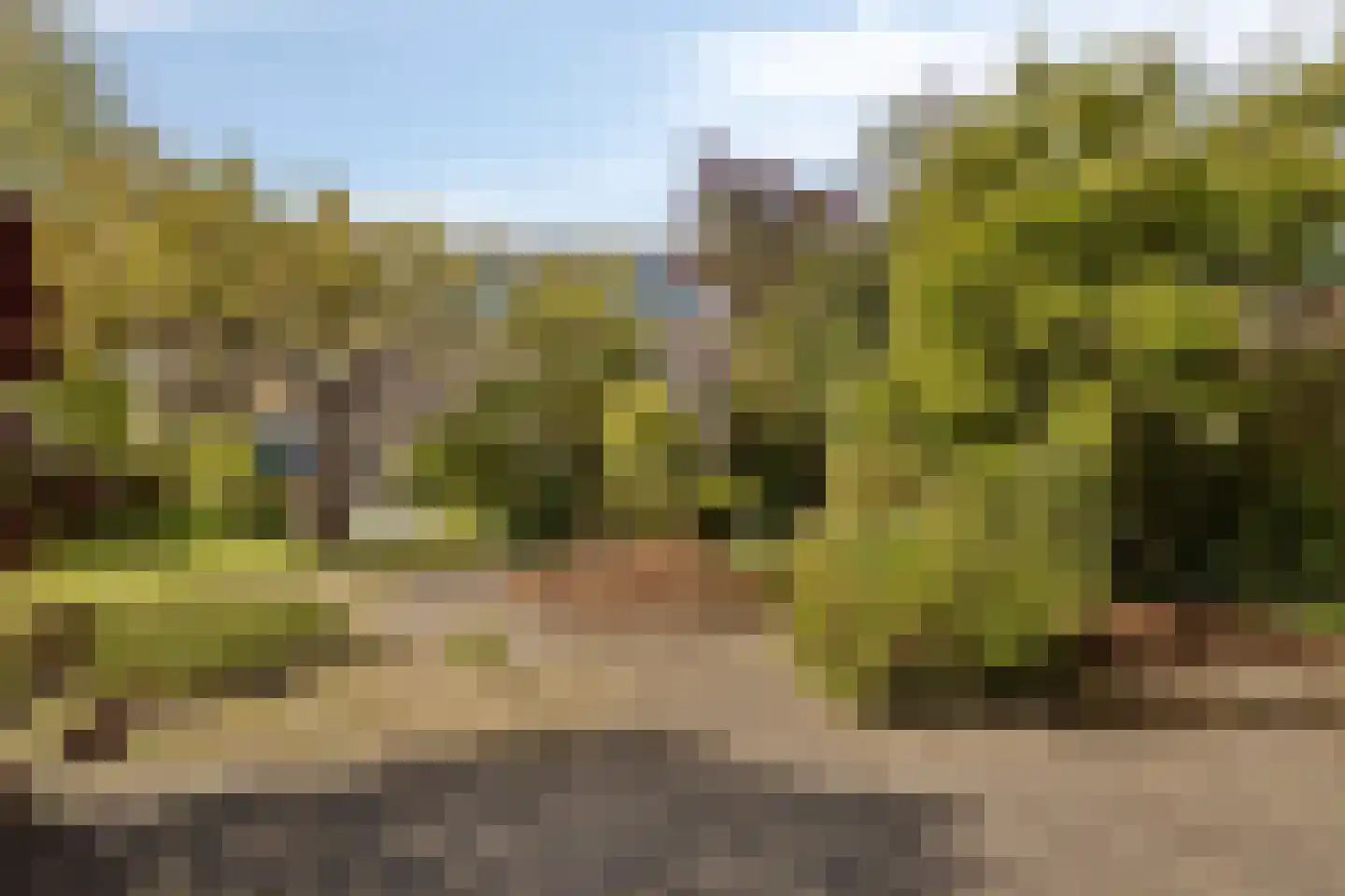 Prins der Nederlandenstraat 59 Hoek van Holland thumbnail 37