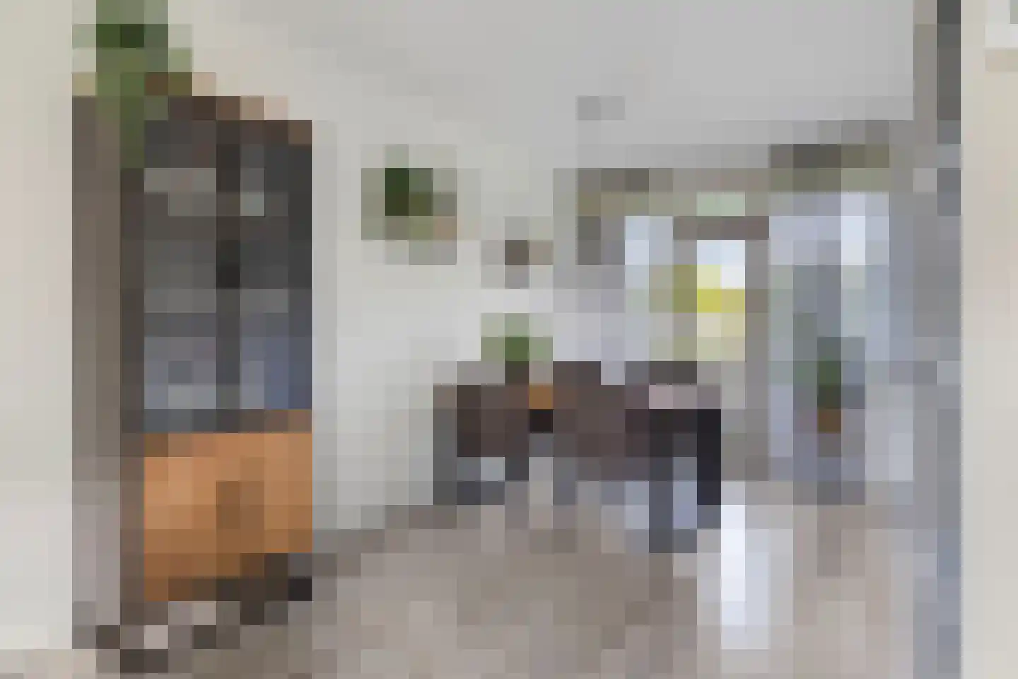 Prins der Nederlandenstraat 7 Hoek van Holland thumbnail 20
