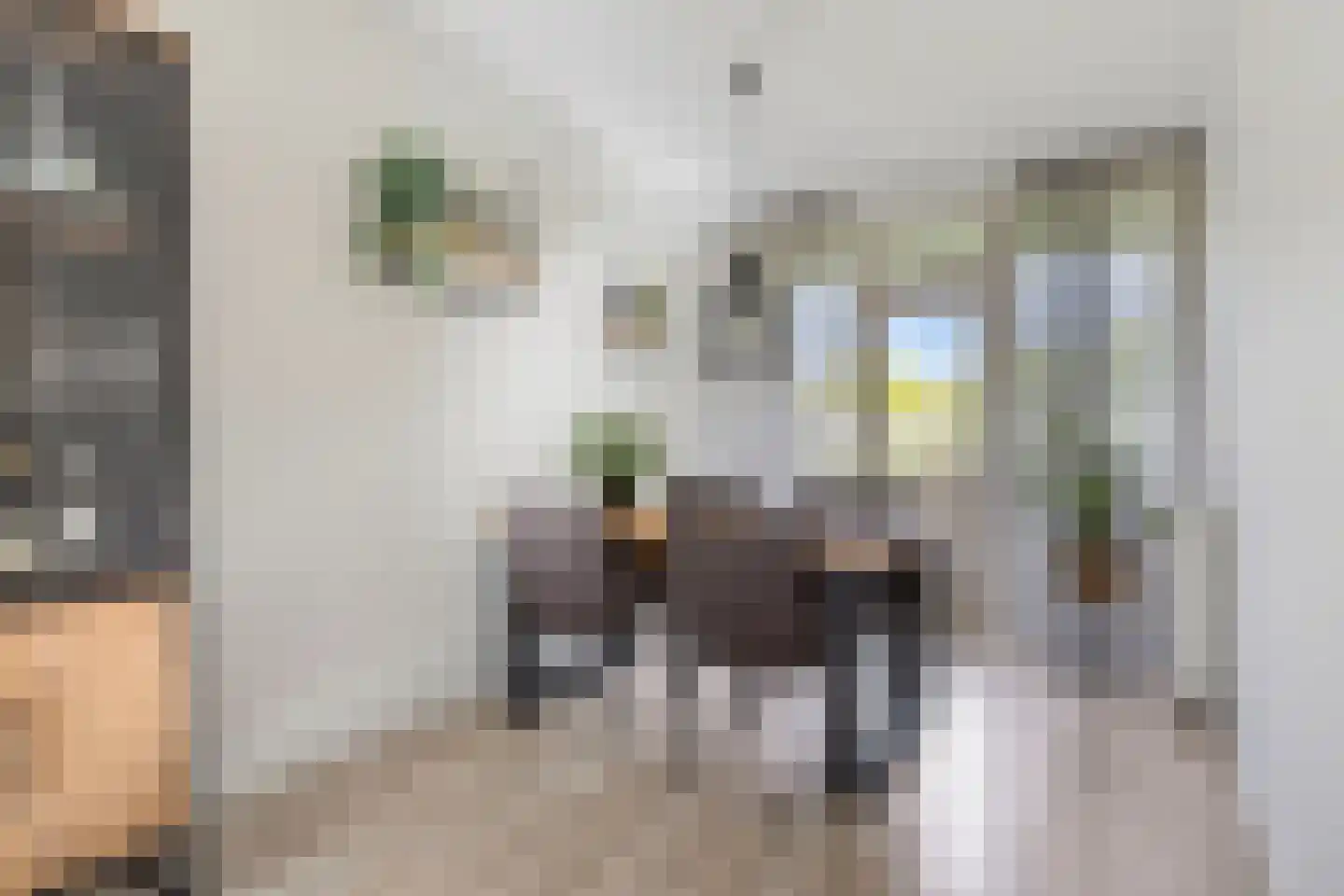 Prins der Nederlandenstraat 7 Hoek van Holland thumbnail 21