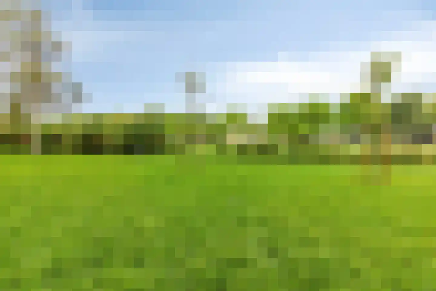 Prins der Nederlandenstraat 7 Hoek van Holland thumbnail 25