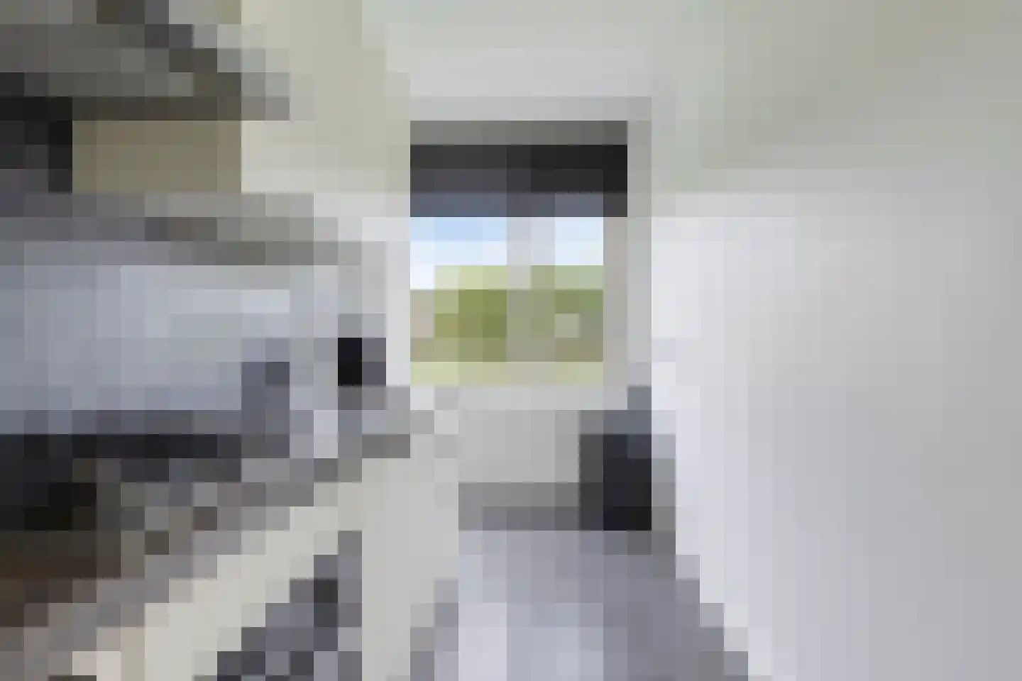 Prins der Nederlandenstraat 7 Hoek van Holland thumbnail 28