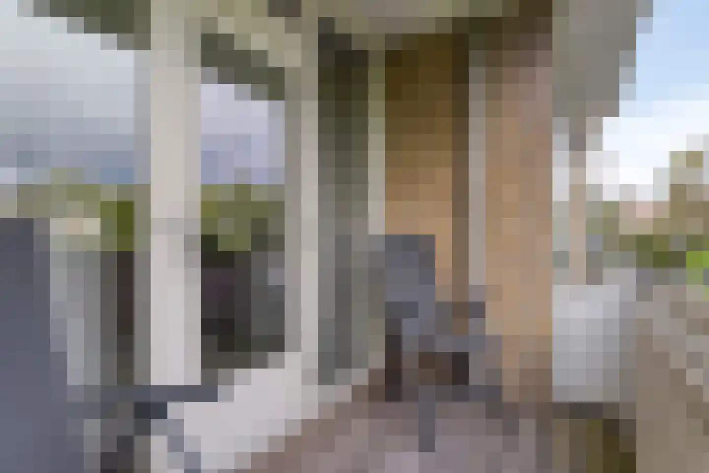 Prins der Nederlandenstraat 7 Hoek van Holland thumbnail 5