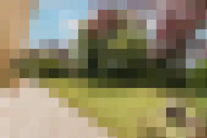 Prins Florislaan 13 Badhoevedorp thumbnail 33