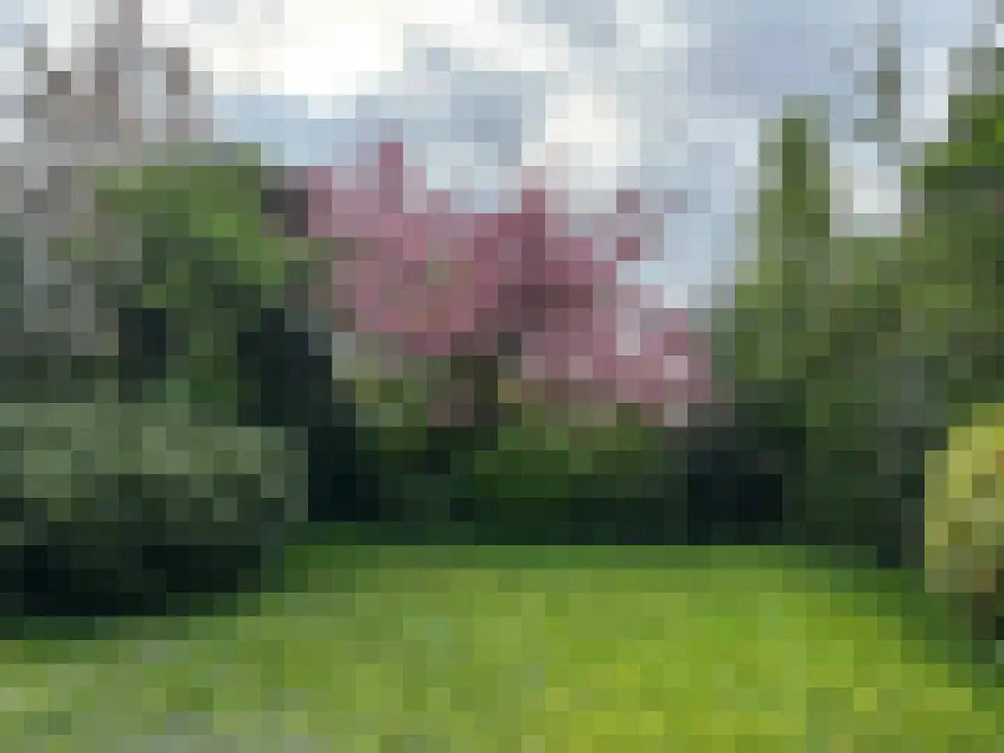 Prins Florislaan 8 Badhoevedorp thumbnail 34
