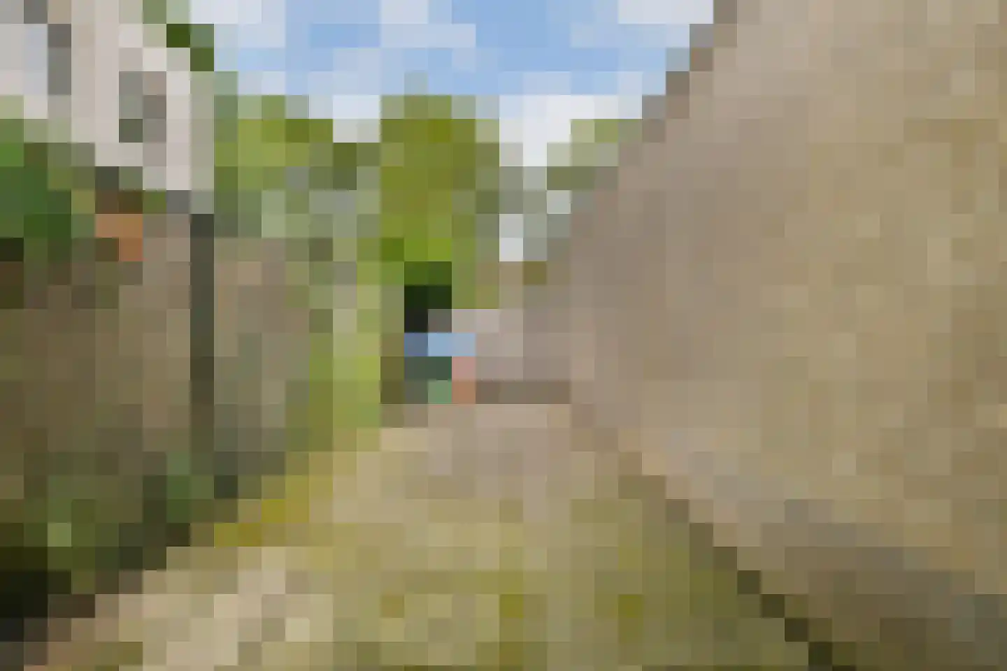 Prins Florislaan 8 Badhoevedorp thumbnail 37