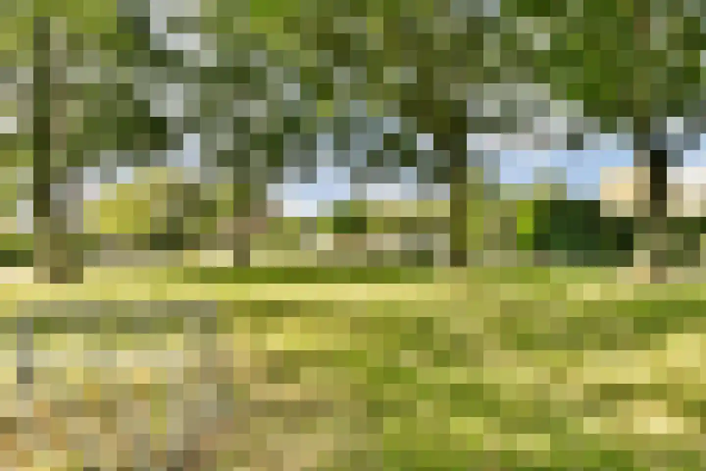 Prins Florislaan 8 Badhoevedorp thumbnail 41
