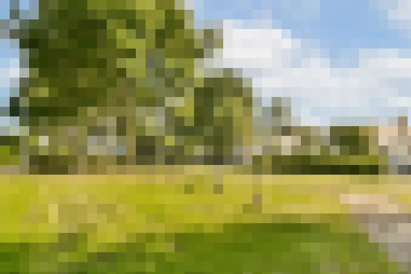 Prins Florislaan 8 Badhoevedorp thumbnail 42